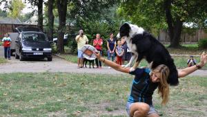 киноложка изложба Видин