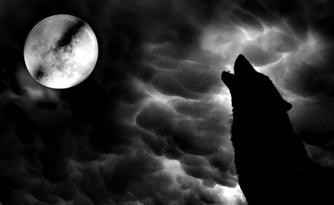  Един от най-големите страхове на европейците през XVI в. - върколаците 