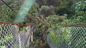 въжен мост дърво