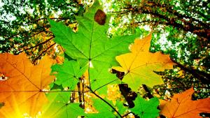 септември време