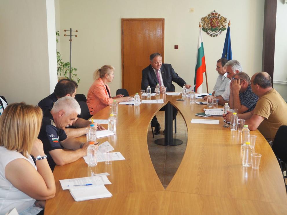 Нови лъвчета се родили в разградския зоопарк, едното е починало, две са на лечение в София