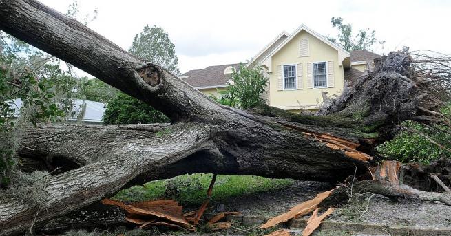 Ураганът Ирма е причинил смъртта на най-малко 77 човека, 36