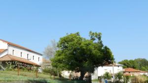 Гоце Делчев