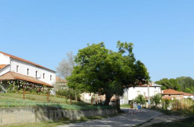 Започна подмяна на водопроводната мрежа в с. Балдево