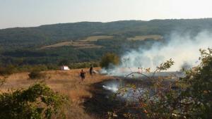 Пореден пожар в сухи треви и храсти