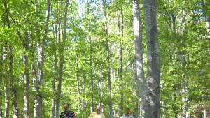 почистване Врачански Балкан