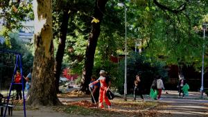 почистване Видин