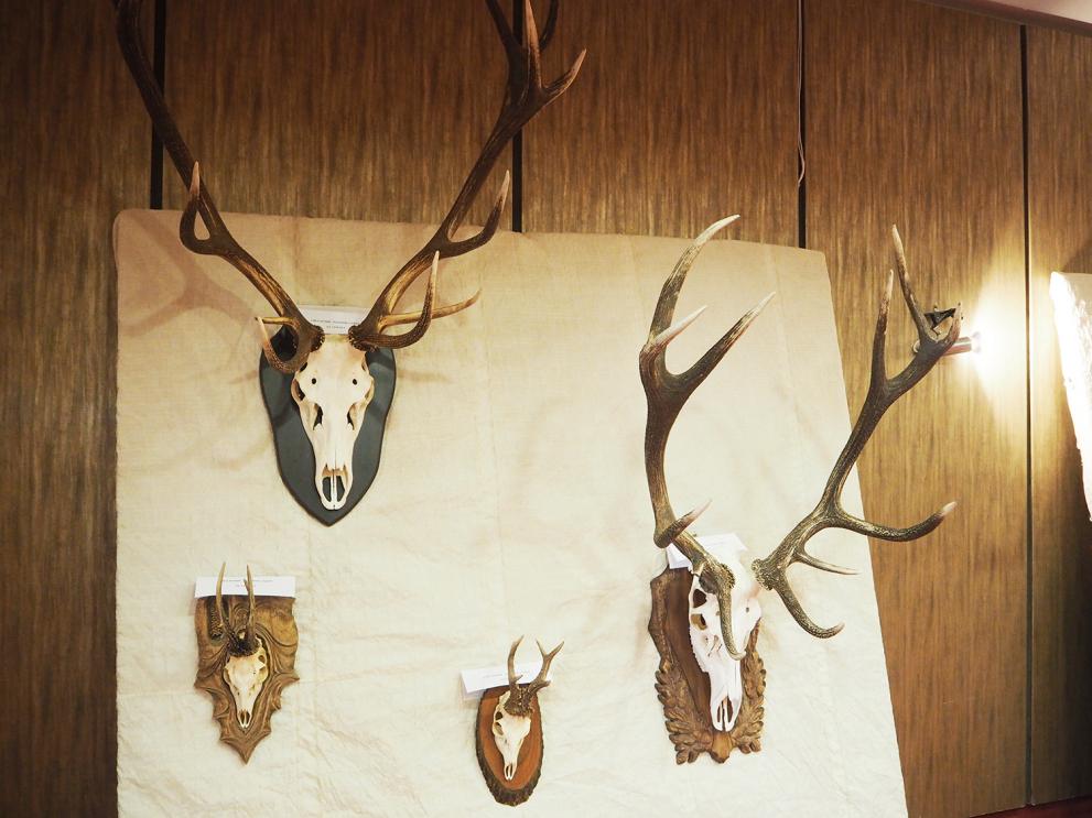 Стол от еленови рога, трофеи от сръндаци и глигани на изложба в театъра