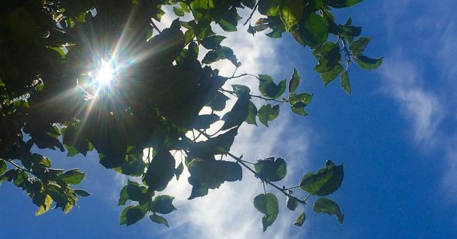 Очаква ни слънчев и топъл неделен ден Сутринта в източните