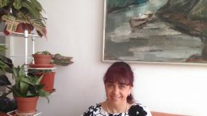 директор Видин