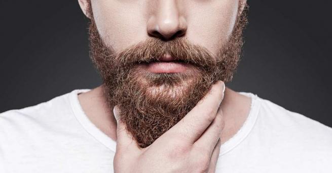 Мъжката брада определя визията на представителите на силния пол През