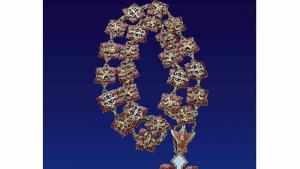 орден Фердинанд