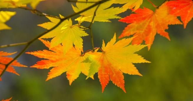 По случай есенното равноденствие и настъпването на астрономическата есен британският