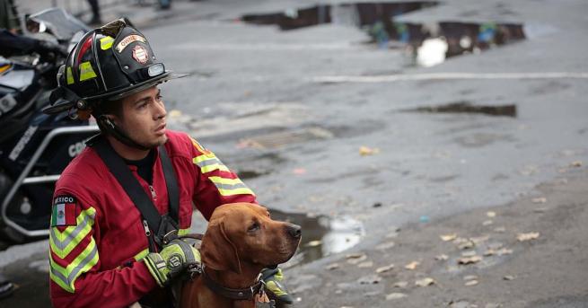 Три денонощия след опустошителното земетресение в Мексико спасителите предполагат че има