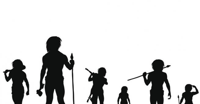 Анализ на скелета на неандерталче показа че мозъкът му още