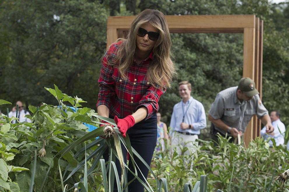 Мелания Тръмп бере зеленчуци в градината на Белия дом