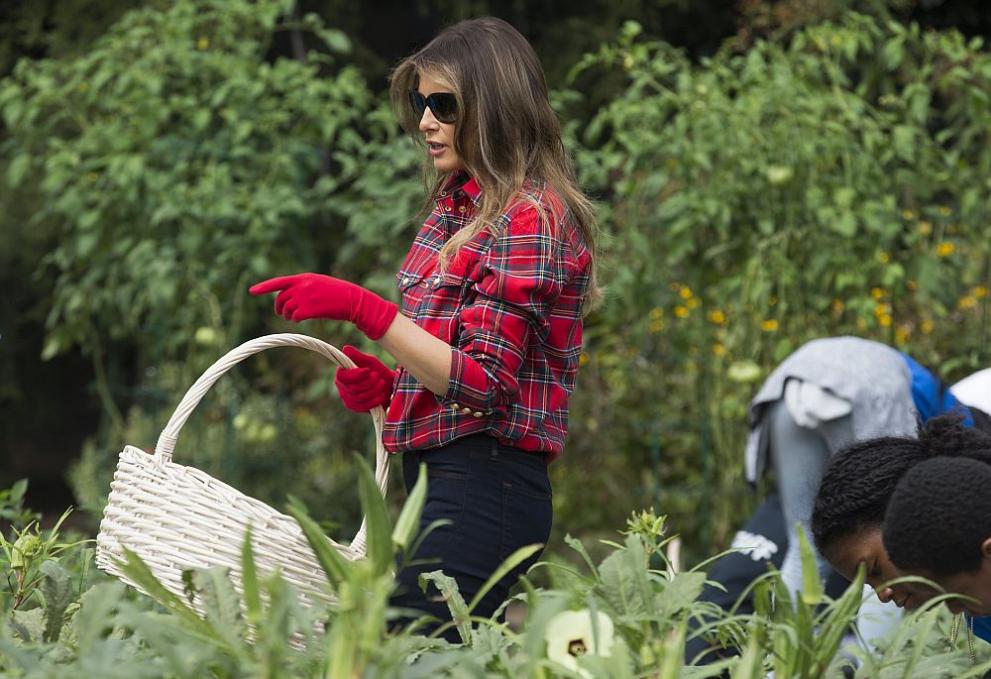  Мелания Тръмп бере зеленчуци в градината на Белия дом 