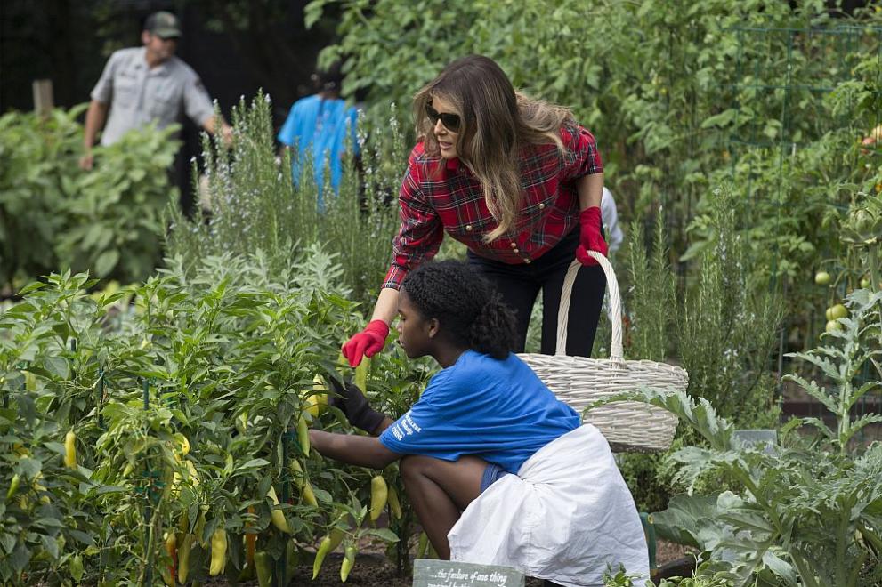 Мелания Тръмп бере зеленчуци в градината на Белия дом