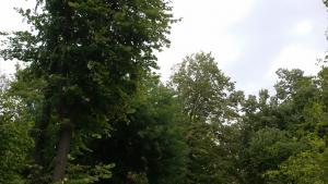 времето есен