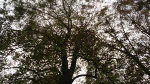 времето есен