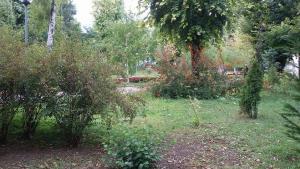 времето есен