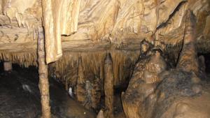 експедиция