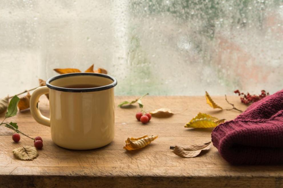  Есента си има своя неизразим и непостижим сексапил. Той е дъжда, в топлата покривка, в нападалите листа... 