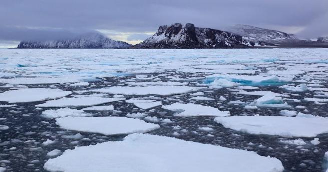 Учени откриха парчета полистирен на отдалечен плаващ къс лед на