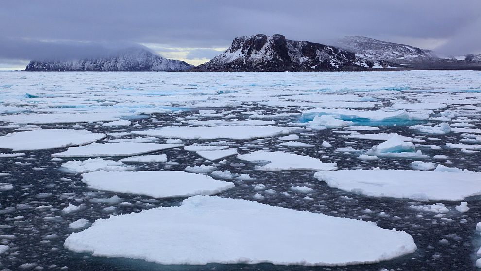 Учени откриха парчета полистирен на отдалечен плаващ къс лед на 1600 км от Северния полюс