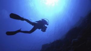 водолази