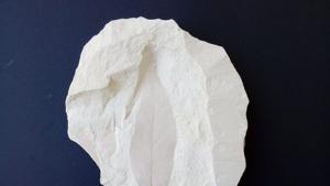 Гоце Делчев