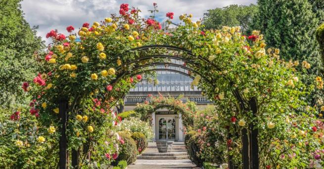 Ботаническите градини по света приютяват поне една трета от всички