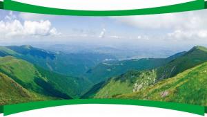 Старопланинския регион