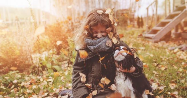 През нощта валежите почти навсякъде ще спрат но ще остане