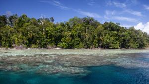 Соломоновите острови