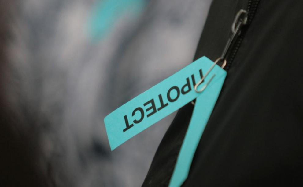  митинг Пирогов 