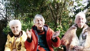 пенсионери Видин