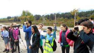 Пирински стражи