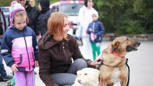 Домашни кучета с благотворителна фотосесия