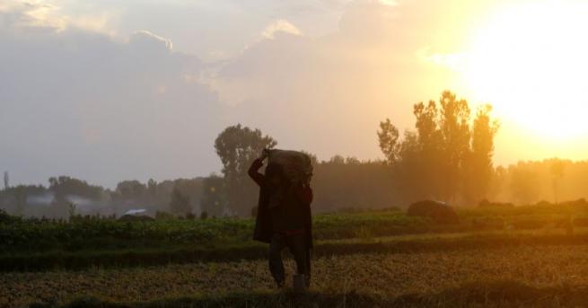 Българският работник в сектор Земеделие е най бедният на Балканите съобщиха