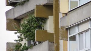 праскова блок Шумен