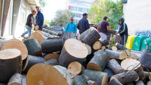 дърва Шумен