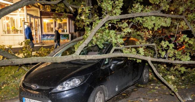 Най малко четирима души загинаха в Германия в резултат от циклона
