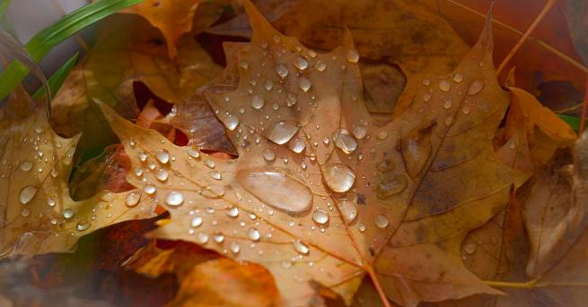 В петък над по голямата част от страната денят ще