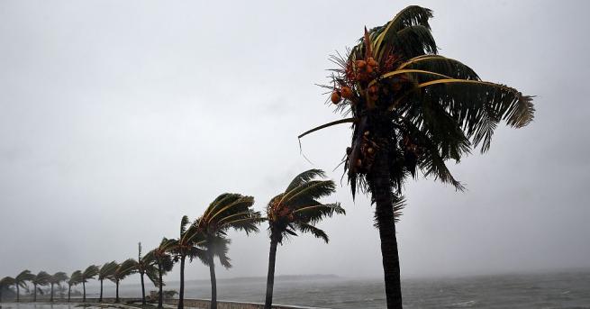Чудовищните урагани Харви Ирма Мария Хосе и Лий които минаха