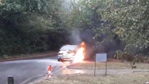 пожар рали стари столици