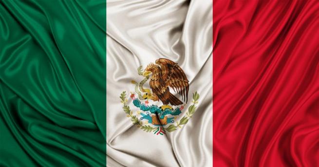 Жена от автохтонното население на Мексико подкрепена от сапатисткото движение