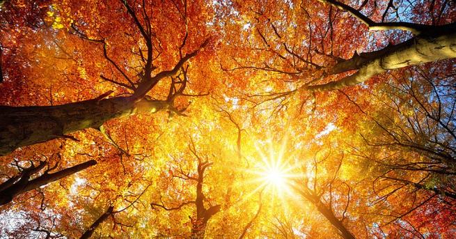 Прогноза за времето за 11 октомври сряда   През нощта