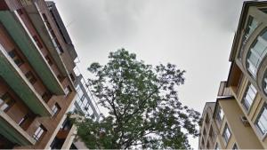 купувачите предпочитат жилища ново строителство