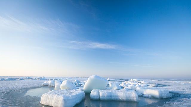 Антарктическият лед крие останките на древен суперконтинент